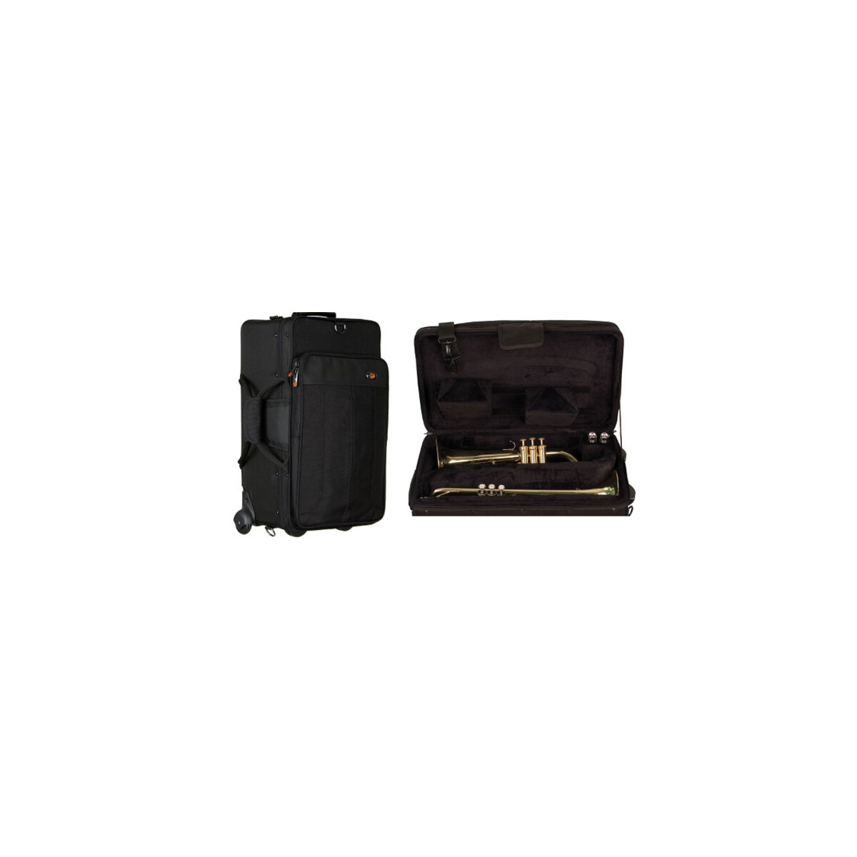 Protec Case PB-301-VAX - Double Case / Variable Trolley