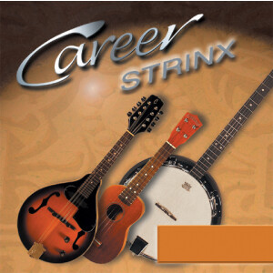 Career Strinx 223154 Saitensatz für Violine 4/4