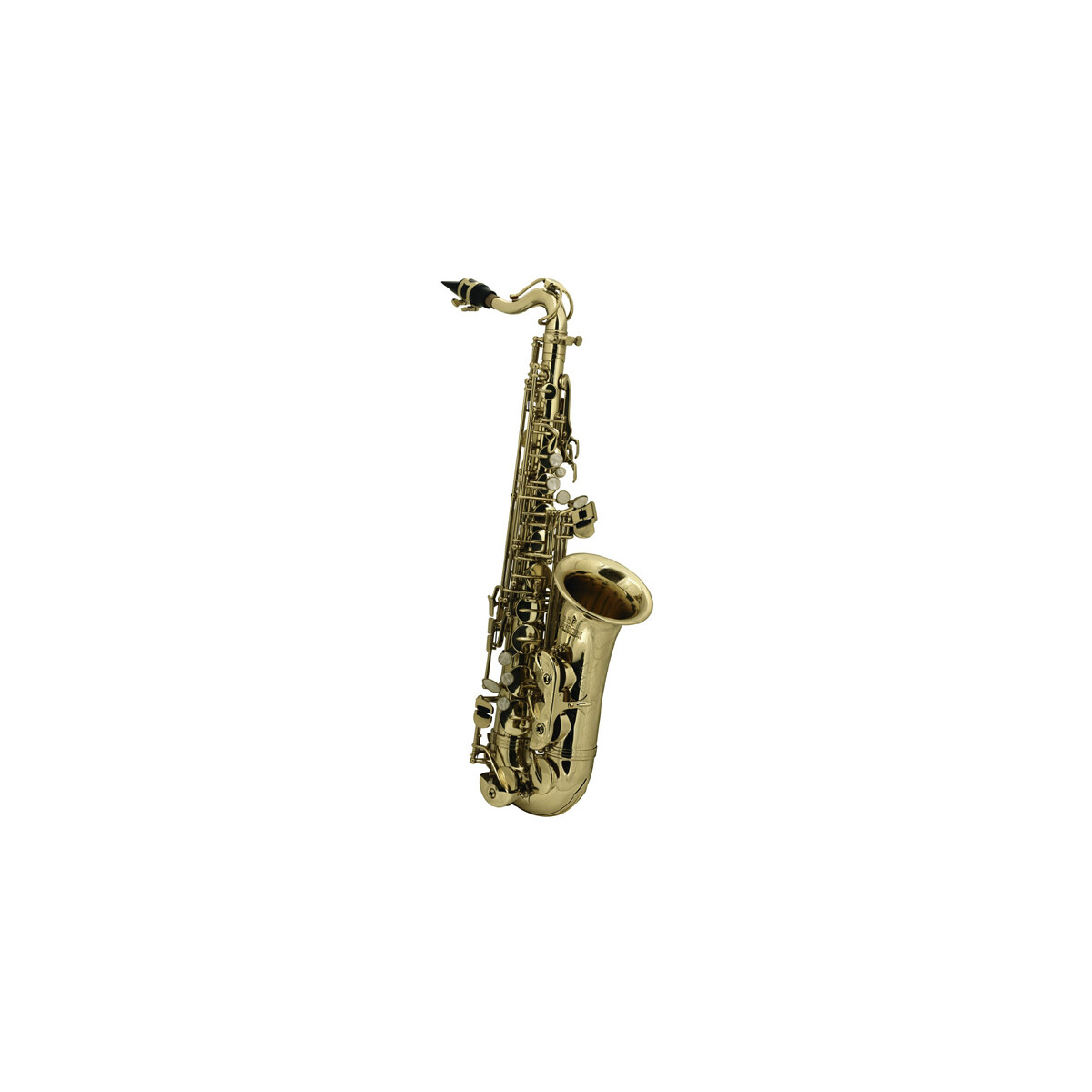 Roy Benson Alto Saxophone AS 201 for Children