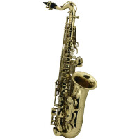 Roy Benson Alt-Saxophon AS 201 für Kinder