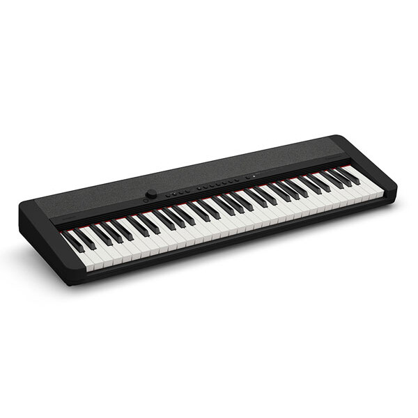 Casio Keyboard CT-S1 BK (schwarz)