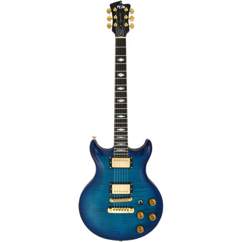 FGN Expert Rise Michael Sagmeister Limited E-Gitarre  - Blue Burst