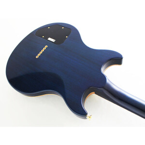 FGN Expert Rise Michael Sagmeister Limited E-Gitarre  - Blue Burst