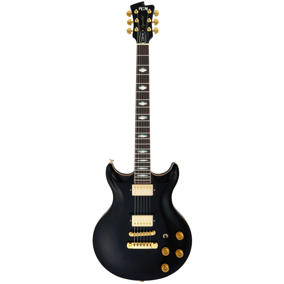 FGN Expert Rise Limited E-Gitarre  - Black (Low Gloss)