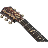 Ibanez AEG550-BK Westerngitarre