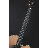 Takamine LTD 2023 Limited Edition Westerngitarre (Santa Fe 30th Anniversary)
