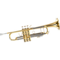 Bach Trompete Stradivarius 180-37 ML