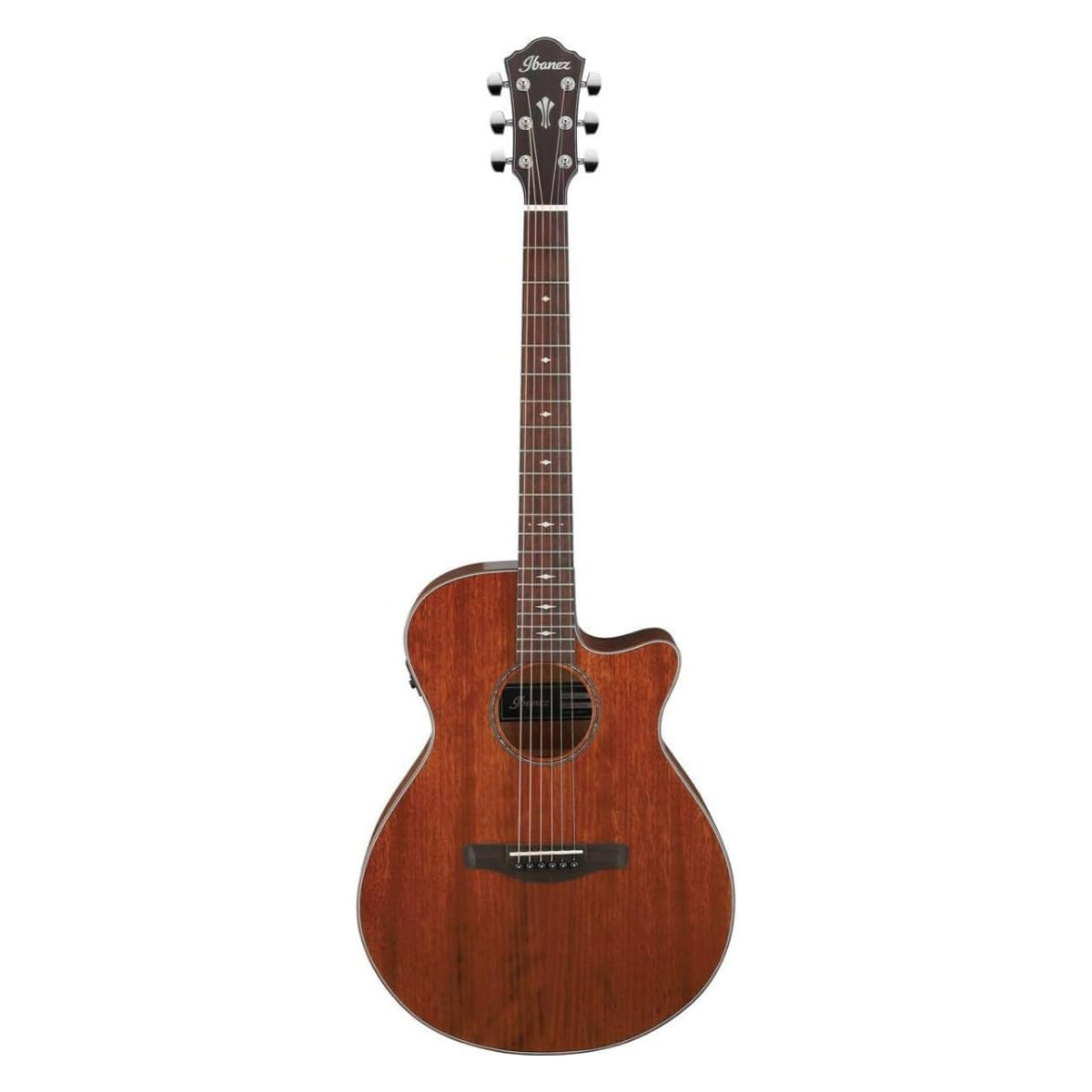 Ibanez AEG220-LGS Westerngitarre mit Tonabnehmer