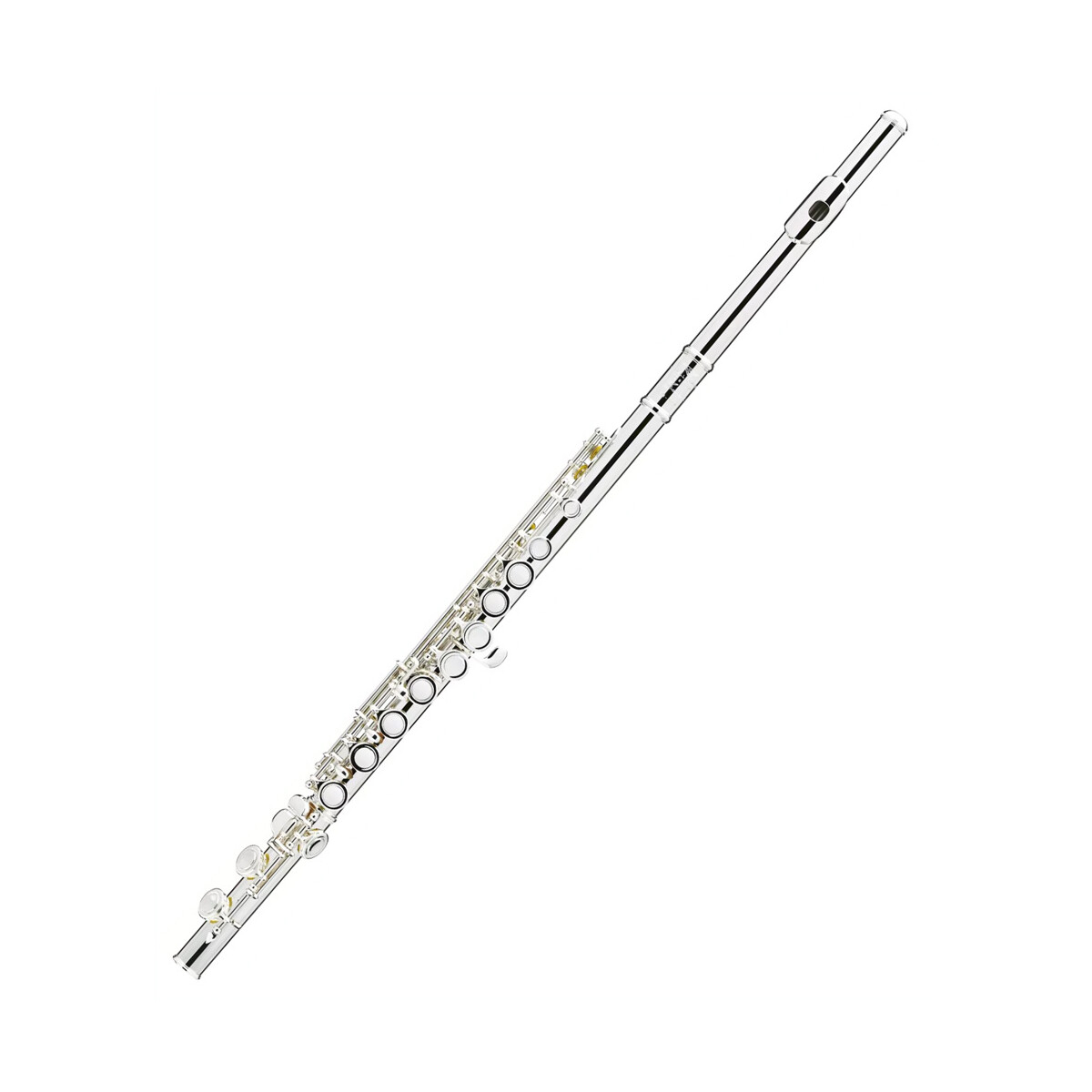 Powell Sonare PS101 CEA Flute box