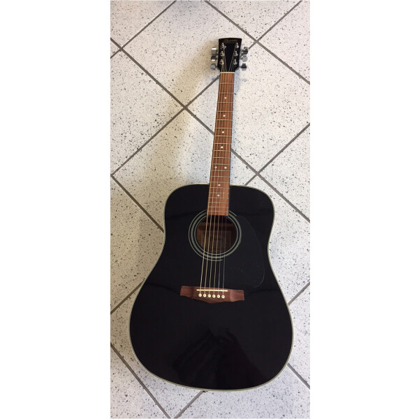 Ibanez PF10-DBK